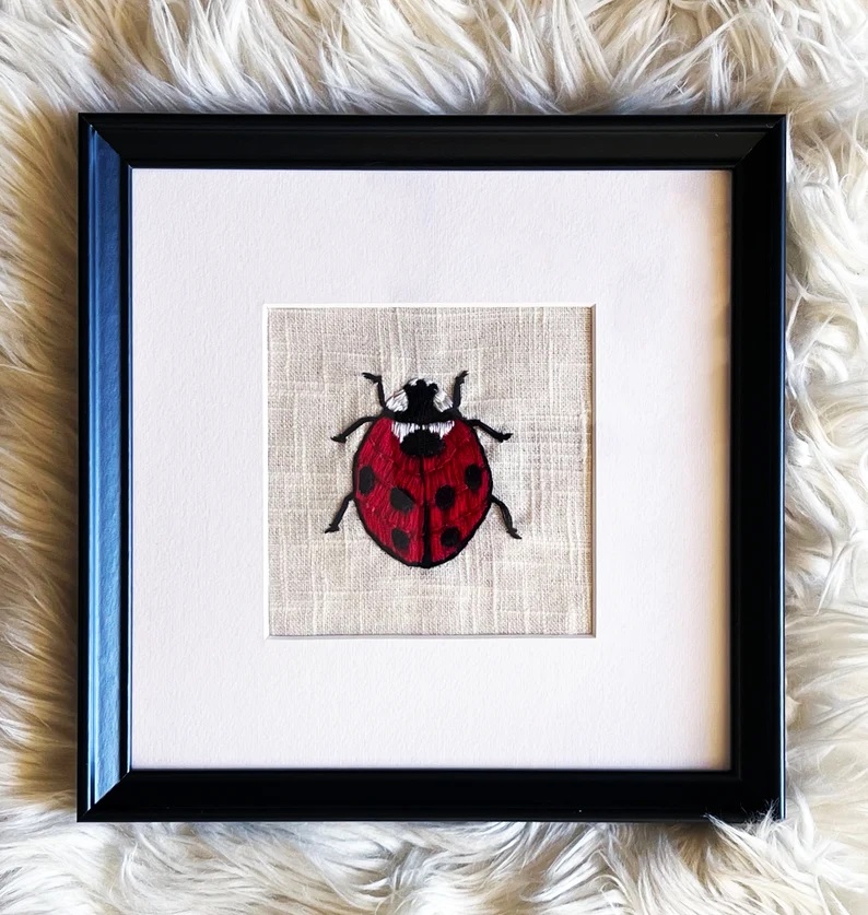 ladybug
